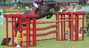 stallion AB